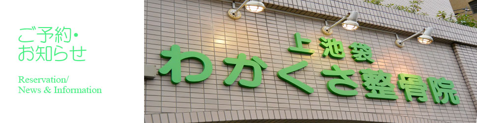 スタッフ紹介